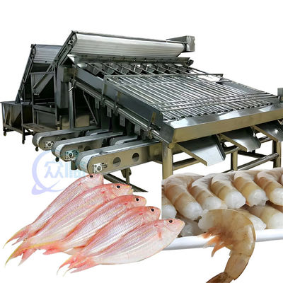 ISO 1500KG Maszyna do sortowania owoców morza, wielofunkcyjny sorter wielkości ryb