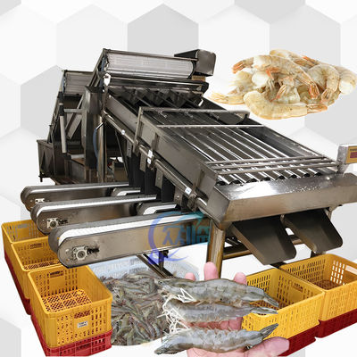 Dobra cena. 4.9KW SUS304 Automatyczna maszyna do sortowania ryb w Internecie