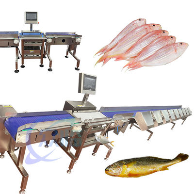 Wysoce precyzyjna maszyna do sortowania ryb żywych Sprzęt do sortowania ryb żywych Tilapia Sizing
