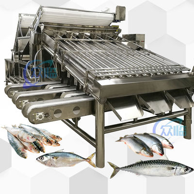 Dobra cena. Maszyna wysokiej prędkości do sortowania Saury Saury Roller Grader 5 osób Operator w Internecie