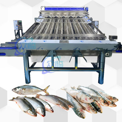 Maszyna do sortowania plastikowych przenośników Saury Żółty krukier Sortowanie
