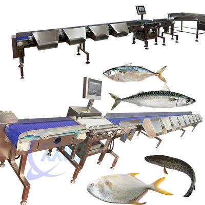 Dobra cena. Dobra cena Tilapia Grader Tilapia Sorter Tilapia Sizter Tilapia Classify z Chin w Internecie