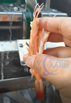 Dobra cena. Gorąca sprzedaż Maszyna do cięcia krewetek Krewetka EBI Cutter Krewetka Belly Cutter w Internecie