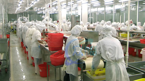 Dobra cena. Wiele skrzynek Gorąca sprzedaż Maszyna do obierania Tilapia 0,75 kW Tilapia Skinner Wysoka stabilność w Internecie