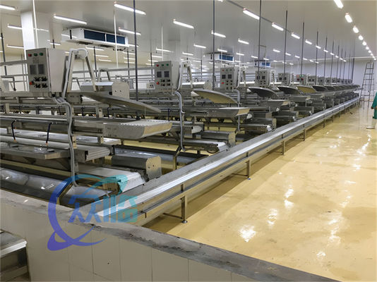 Dobra cena. 3.10KW linii przetwórstwa ryb przenośnik linii produkcyjnej odkręcania ryb w Internecie