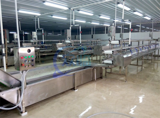 2.22KW SS pralka do przetwarzania owoców i warzyw Linia produkcyjna Łałuszka Kapusta Spray powietrza pralka