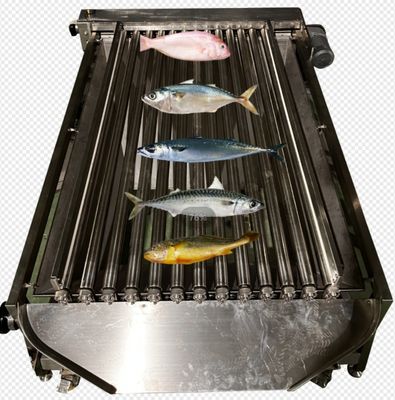 Dobra cena. Maszyna do automatycznego sortowania ryb o pojemności 5-10 ton na godzinę, rozmiar małych ryb i klasyfikacja oceanu w Internecie