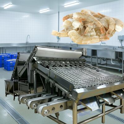 Dobra cena. Wytrzymała maszyna do klasyfikowania krewetek 1500kg-2000kg/h Roller Shrimp Sorter High Stable Roller Shrimp Sizing Machine for Seafood w Internecie