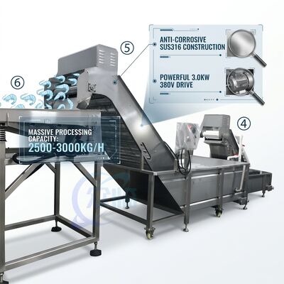 Dobra cena. Ciężka linia produkcyjna odcinająca głowy krewetek Precyzja SUS316 1000-1500KG 11.7KW 415V w Internecie