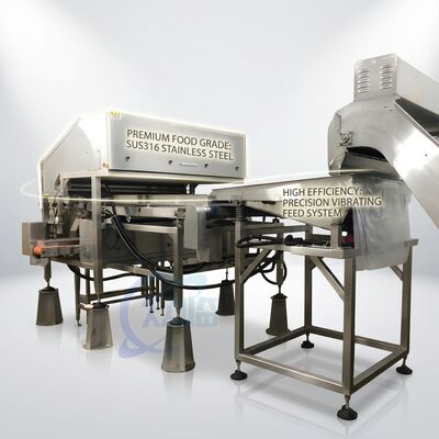 Dobra cena. Stainless Steel Shrimp Head Removal Machine SUS316L 500-800KG 5.5KW 60Hz For Shrimp Processing Plant w Internecie