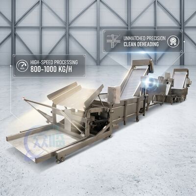 Dobra cena. SUS316 Shrimp Deheading System Food Grade SUS304 800-1000KG 3.0KW 415V For Fish Processing Plant w Internecie