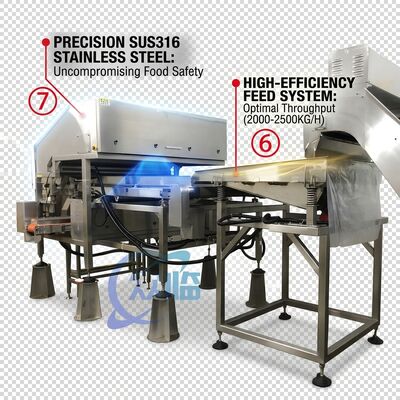 Dobra cena. Rugged Shrimp Head Separator SUS304 Stainless Steel 800-1000KG 15KW 440V For Shrimp Processing Plant w Internecie