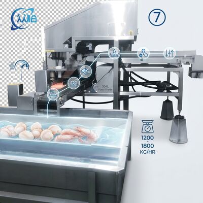 Dobra cena. High Output Shrimp Processing Machine Hygienic SUS304 500-800KG 0.8KW 220V For Seafood Export Company w Internecie