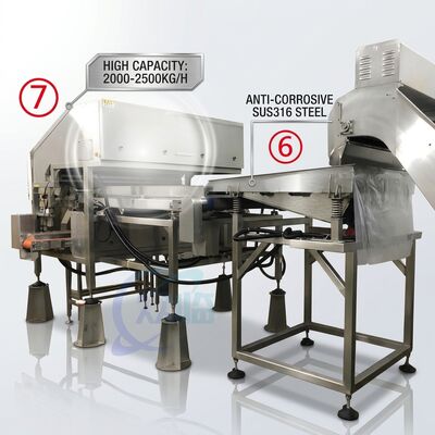 Dobra cena. Wydajna linia produkcyjna do obróbki krewetek Precyzja SUS316 1500-2000KG 7,5KW 415V w Internecie