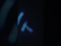 SUS304 Praktyczna maszyna do czyszczenia krewetek, wielofunkcyjny separator odpadów z krewetek